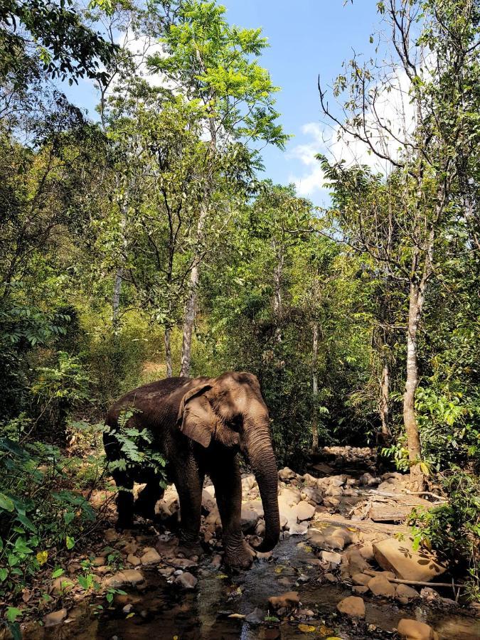 Srey Leap Homestay รัตนคีรี ภายนอก รูปภาพ